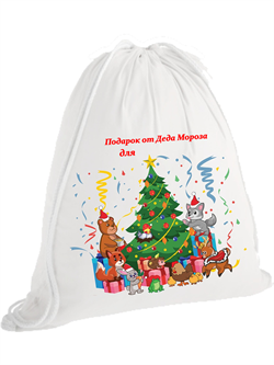 Именной рюкзачок для подарка на заказ с именем РюкНовГодИмя
